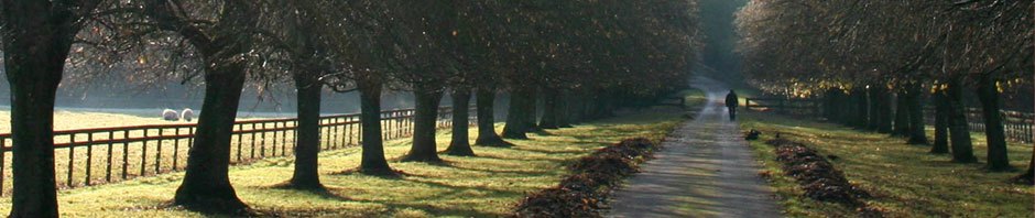 Minden Gyerek Lakjon Jól